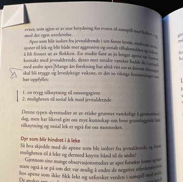 Side i bok